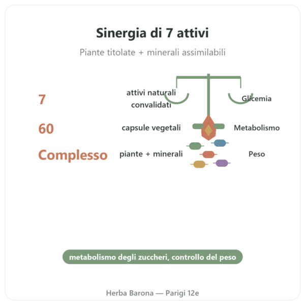 Glicemia 7 – Complesso 7 attivi – 60 capsule – Dynveo benefici e dati chiave Paris Herba Barona