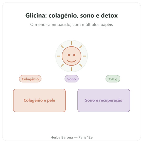 Glicina Cristalizada em Pó 750g – Nutrimuscle apresentação Paris Herba Barona
