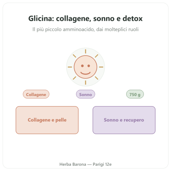 Glicina Cristallizzata in Polvere 750g – Nutrimuscle presentazione Paris Herba Barona