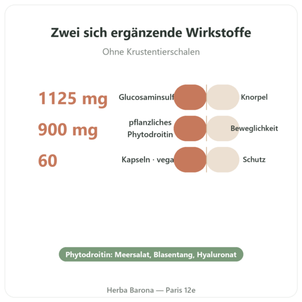Glucosamin & Phytodroitin® – Dynveo – 60 Kapseln Vorteile und Fakten Paris Herba Barona