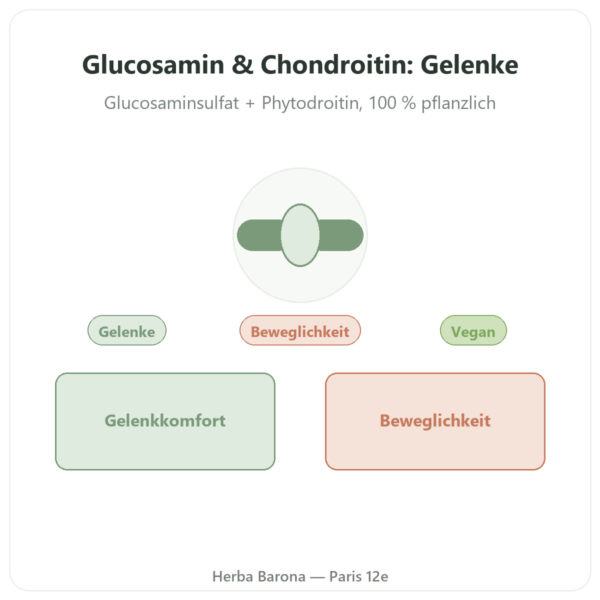 Glucosamin & Phytodroitin® – Dynveo – 60 Kapseln Vorstellung Paris Herba Barona