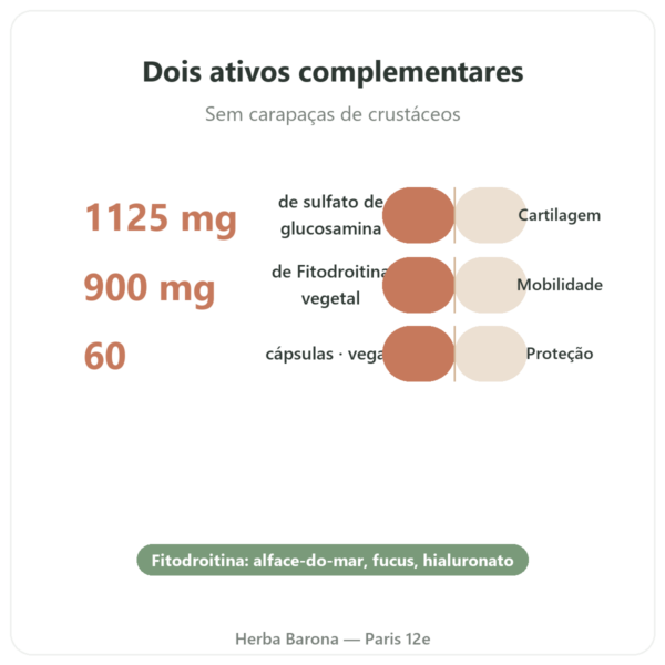Glucosamina & Condroitina – 60 cápsulas benefícios e dados principais Paris Herba Barona