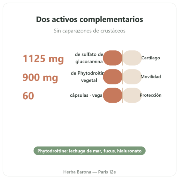 Glucosamina y Condroitina – 60 cápsulas – Dynveo beneficios y datos clave Paris Herba Barona