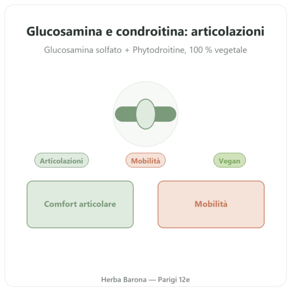 Glucosamina & Condroitina – 60 capsule presentazione Paris Herba Barona
