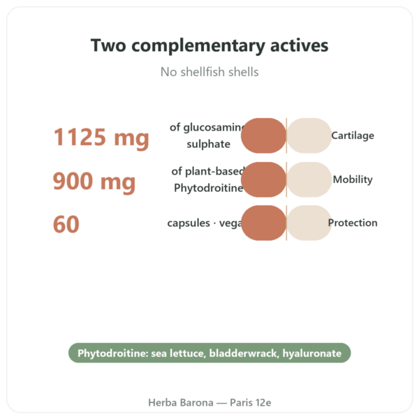 Glucosamine & Chondroitin (Vegan) – Dynveo – 60 Capsules benefits and key facts Paris Herba Barona