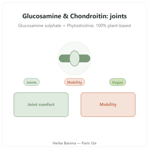 Glucosamine & Chondroitin (Vegan) – Dynveo – 60 Capsules presentation Paris Herba Barona