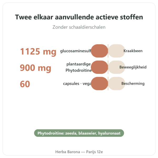 Glucosamine en Chondroïtine Dynveo 60 Capsules voordelen en kerngegevens Paris Herba Barona