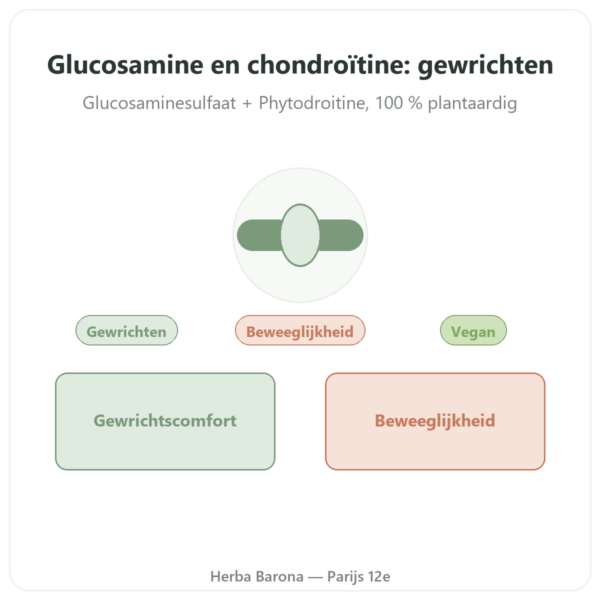 Glucosamine en Chondroïtine Dynveo 60 Capsules presentatie Paris Herba Barona