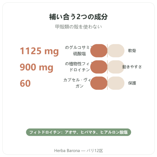 グルコサミン & コンドロイチン – 60カプセル benefits and key facts Paris Herba Barona