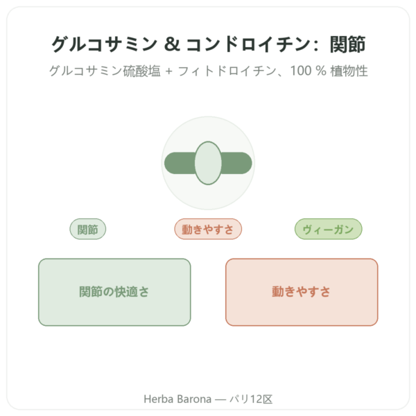 グルコサミン & コンドロイチン – 60カプセル presentation Paris Herba Barona