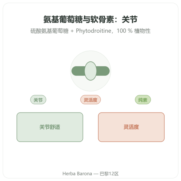 氨基葡萄糖与软骨素 – 60 粒胶囊 产品展示 Paris Herba Barona