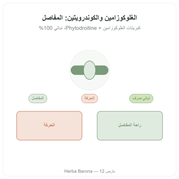 غلوكوزامين وكوندرويتين – Dynveo – 60 كبسولة عرض المنتج Paris Herba Barona