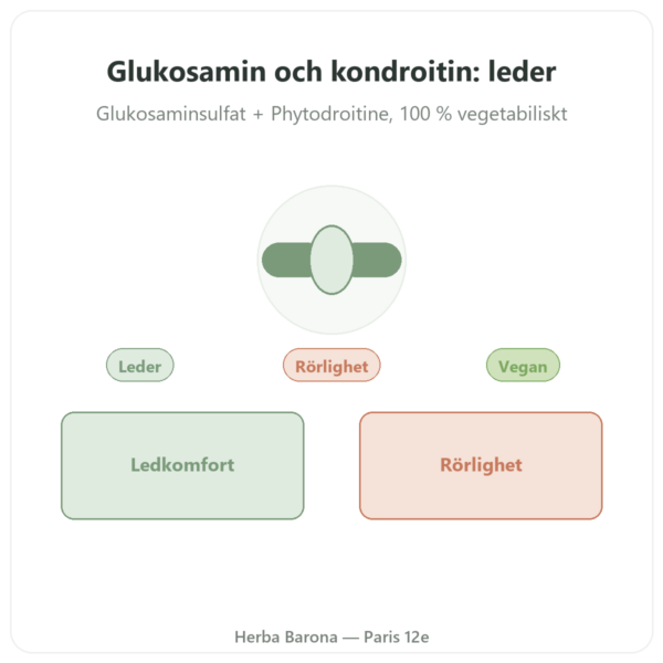 Glukosamin & Kondroitin – 60 kapslar presentation Paris Herba Barona