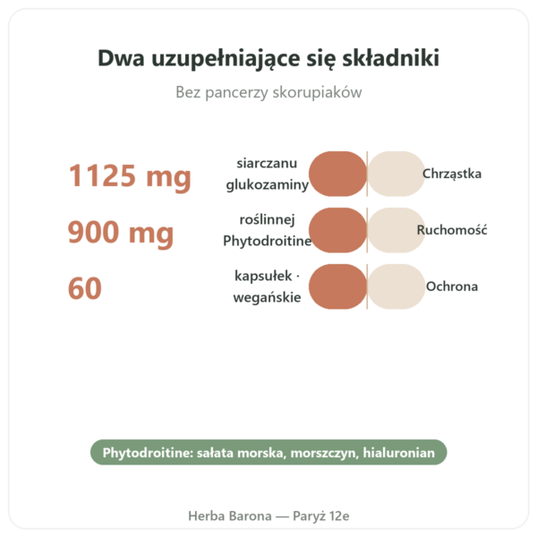 Glukozamina i Chondroityna – 60 kapsułek korzyści i najważniejsze fakty Paris Herba Barona