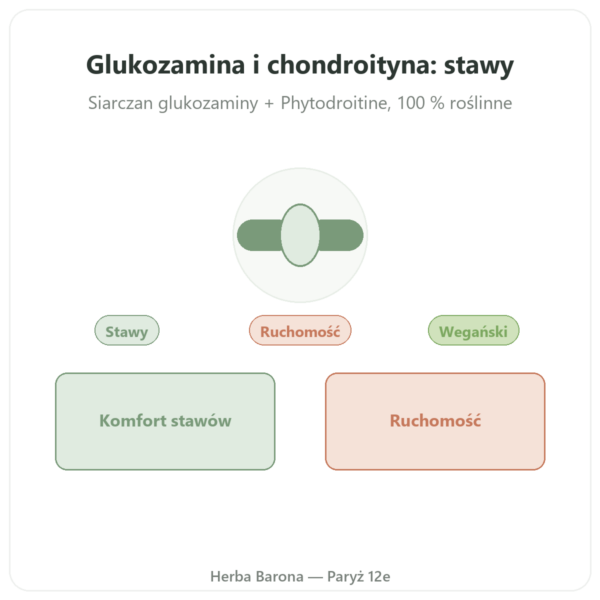Glukozamina i Chondroityna – 60 kapsułek prezentacja Paris Herba Barona