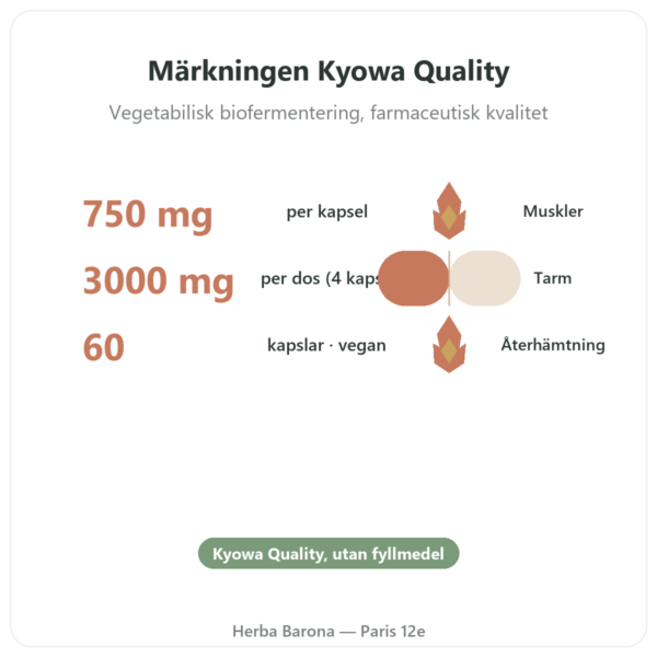 L-Glutamin 750 mg – 60 kapslar – Dynveo – Kyowa Quality fördelar och nyckelfakta Paris Herba Barona