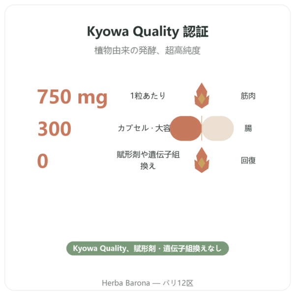 L-グルタミン 750 mg – 300カプセル – Dynveo – Kyowa Quality benefits and key facts Paris Herba Barona