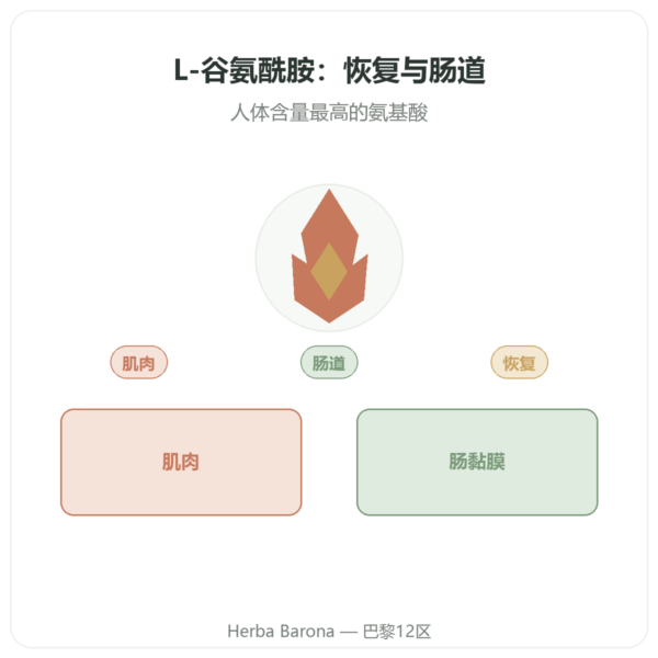 L-谷氨酰胺 750 mg – 300 粒胶囊 – Dynveo – Kyowa Quality 产品展示 Paris Herba Barona