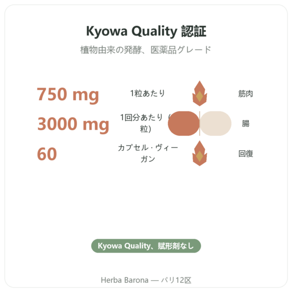 Dynveo L-グルタミン 750 mg 60カプセル Kyowa Quality benefits and key facts Paris Herba Barona