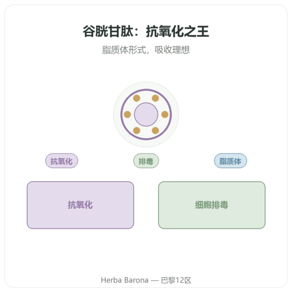 脂质体谷胱甘肽 – Dynveo – 150 mg – 60 粒胶囊 产品展示 Paris Herba Barona