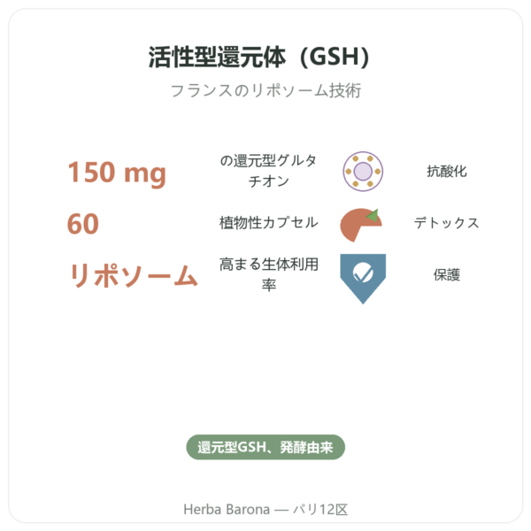 リポソーム グルタチオン – Dynveo – 150 mg – 60カプセル benefits and key facts Paris Herba Barona
