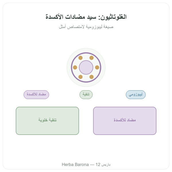 غلوتاثيون ليبوسومي – Dynveo – 150 ملغ – 60 كبسولة عرض المنتج Paris Herba Barona