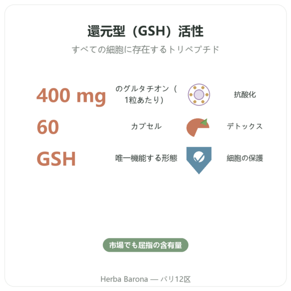還元型グルタチオン 400mg – 60カプセル – VITAL OSMOSE benefits and key facts Paris Herba Barona
