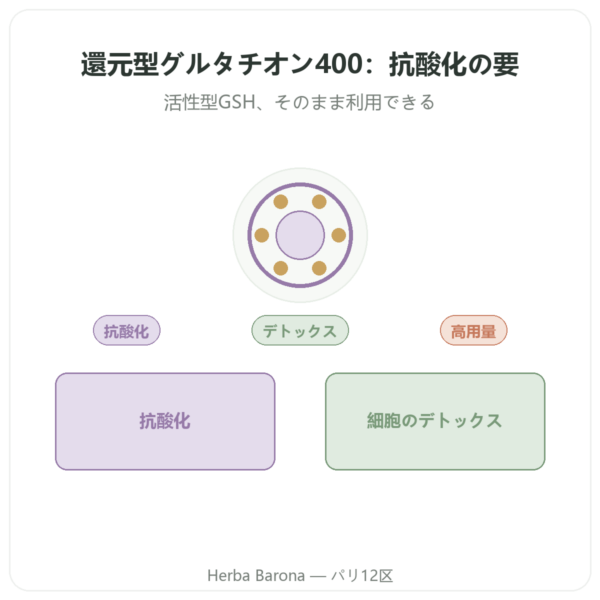 還元型グルタチオン 400mg – 60カプセル – VITAL OSMOSE presentation Paris Herba Barona
