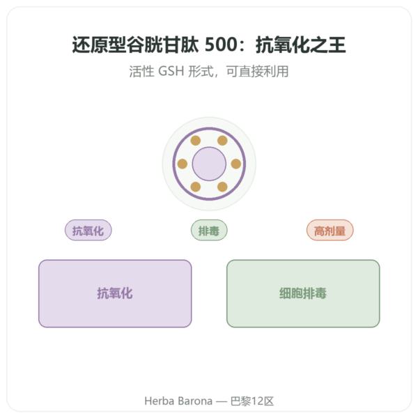 还原型谷胱甘肽 500mg 60 粒胶囊 Jarrow Formulas – 购买 产品展示 Paris Herba Barona