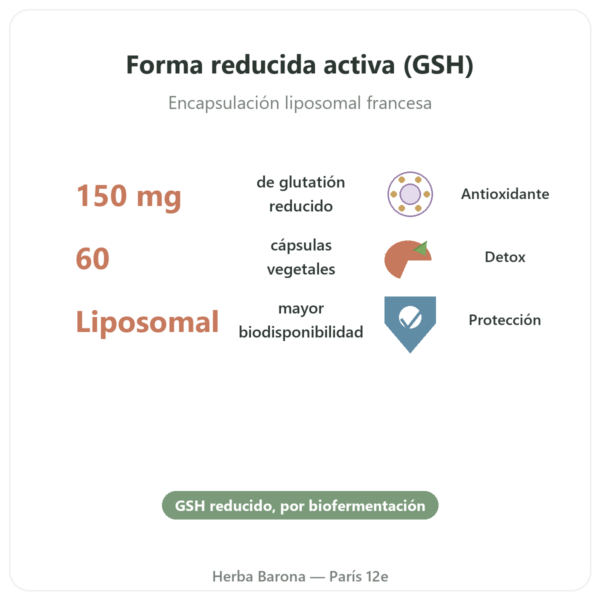 Glutatión Liposomal – Dynveo – 150 mg – 60 cápsulas beneficios y datos clave Paris Herba Barona