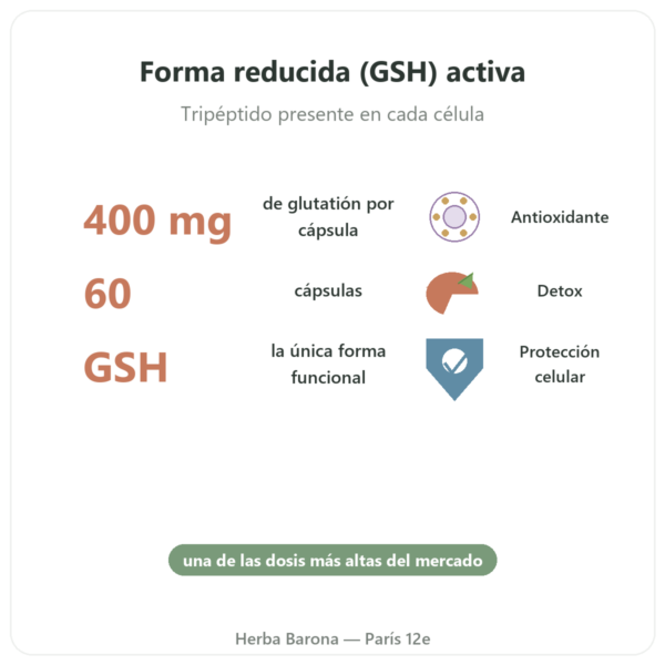 Glutatión Reducido 400 mg – 60 Cápsulas – Vital Osmose beneficios y datos clave Paris Herba Barona