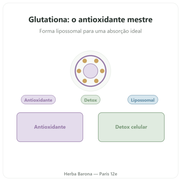 Glutationa Lipossomal – Dynveo – 150 mg – 60 cápsulas apresentação Paris Herba Barona