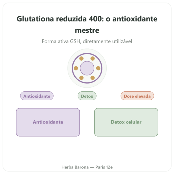 Glutationa Reduzida 400 mg – 60 cápsulas – VITAL OSMOSE apresentação Paris Herba Barona