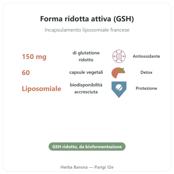 Glutatione Liposomiale – Dynveo – 150 mg – 60 capsule benefici e dati chiave Paris Herba Barona