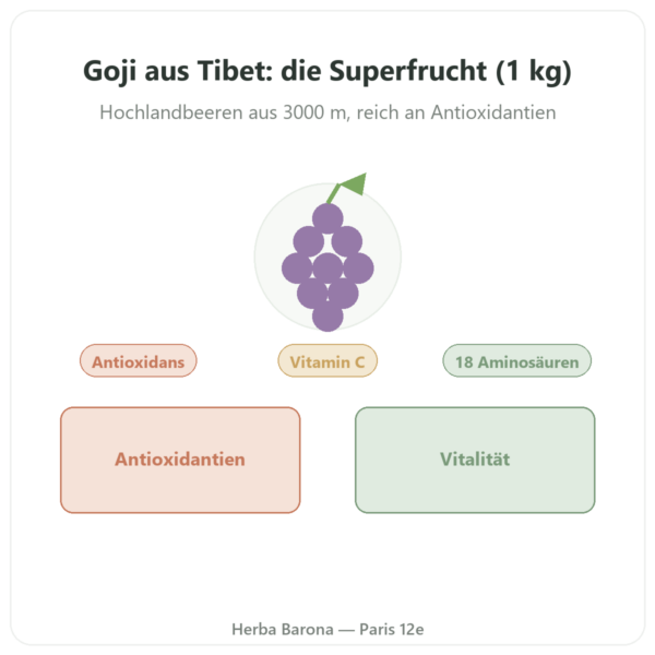 Goji aus Tibet – 1 x 1 kg Vorstellung Paris Herba Barona