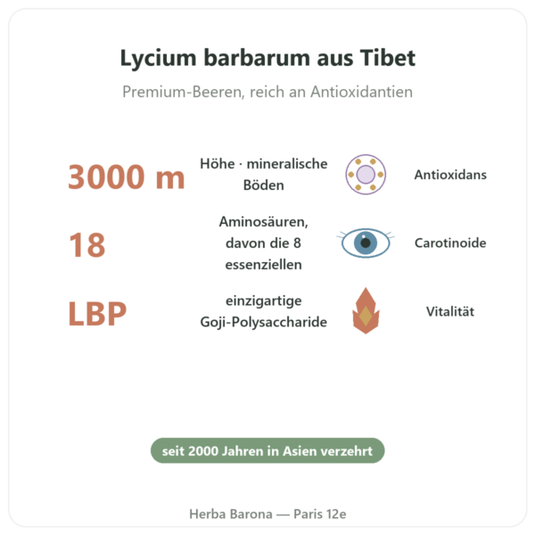 Goji aus Tibet – 1 x 500 g Vorteile und Fakten Paris Herba Barona