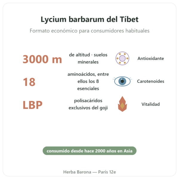 Goji del Tíbet – 1 kg beneficios y datos clave Paris Herba Barona