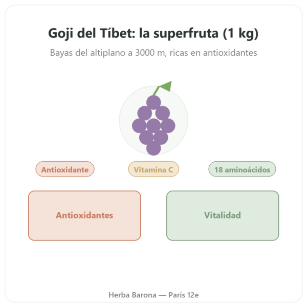 Goji del Tíbet – 1 kg presentación Paris Herba Barona