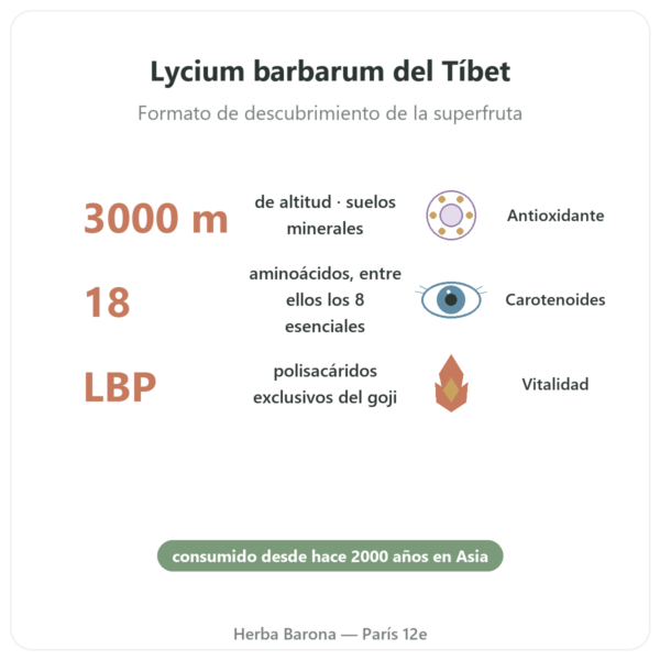 Goji del Tíbet – 250 g beneficios y datos clave Paris Herba Barona
