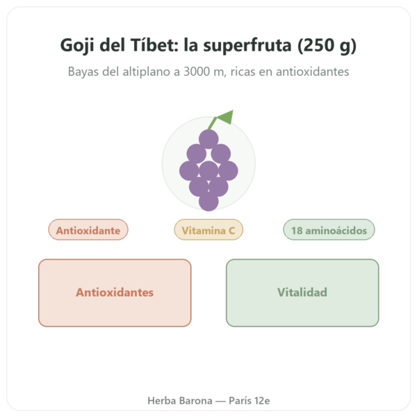 Goji del Tíbet – 250 g presentación Paris Herba Barona