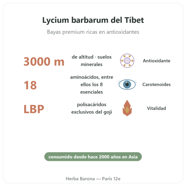 Goji del Tíbet – 500 g beneficios y datos clave Paris Herba Barona