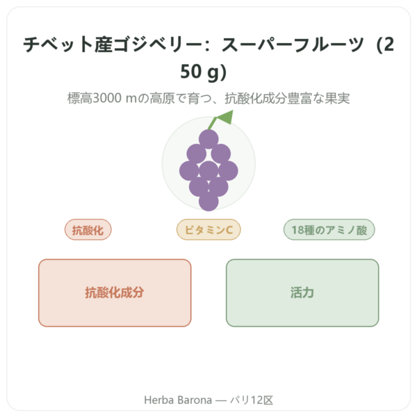 チベット産ゴジベリー – 1 X 250 g presentation Paris Herba Barona