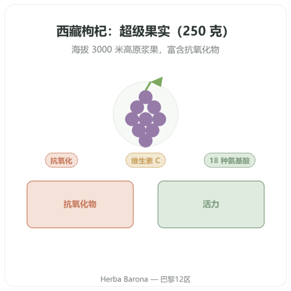 西藏枸杞 – 1 X 250 g 产品展示 Paris Herba Barona