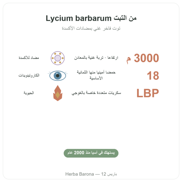غوجي التبت – 1 × 500 غرام الفوائد والمعطيات الرئيسية Paris Herba Barona