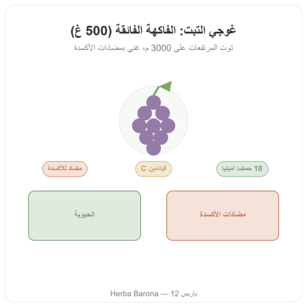 غوجي التبت – 1 × 500 غرام عرض المنتج Paris Herba Barona