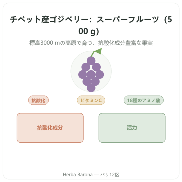 チベット産ゴジベリー – 1 X 500 g presentation Paris Herba Barona