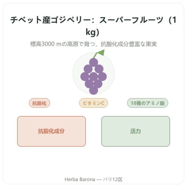 チベット産ゴジベリー – 1 kg (2 x 500 g) presentation Paris Herba Barona