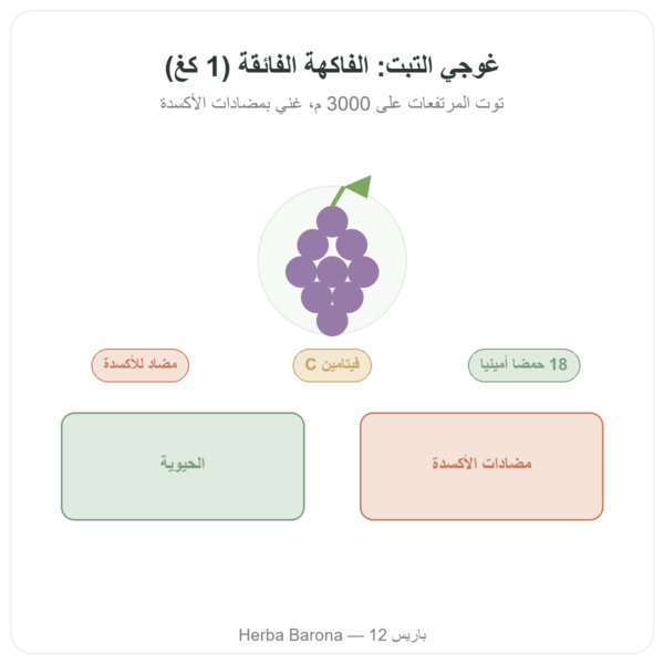 غوجي التبت – 1 × 1 كغ عرض المنتج Paris Herba Barona