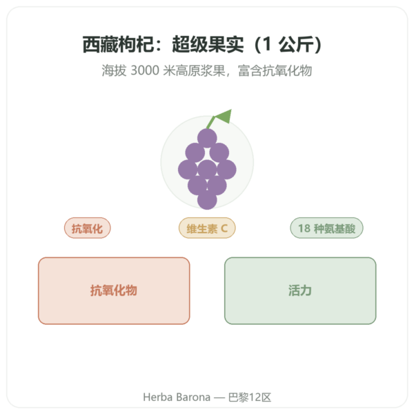 西藏枸杞 - 1 kg (2 x 500 g) 产品展示 Paris Herba Barona