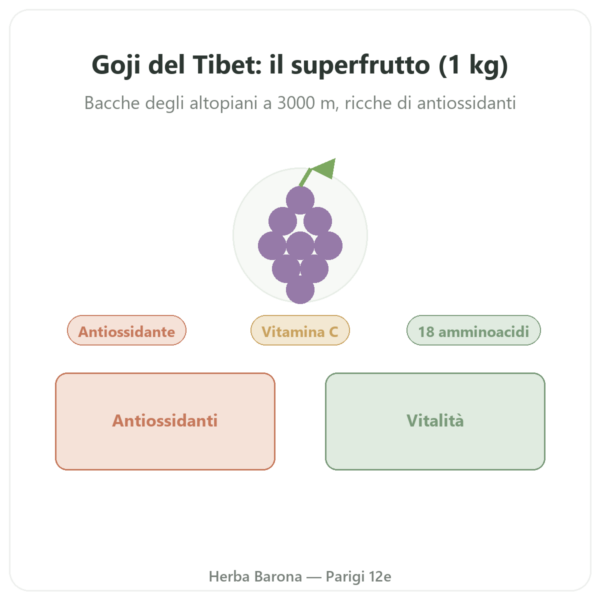 Goji del Tibet – 1 x 1 kg presentazione Paris Herba Barona